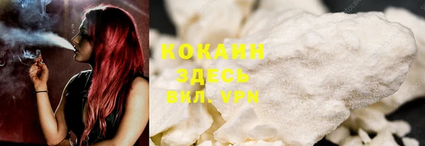 сатива Володарск