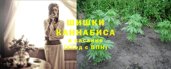 сатива Володарск