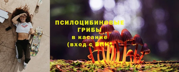 сатива Володарск