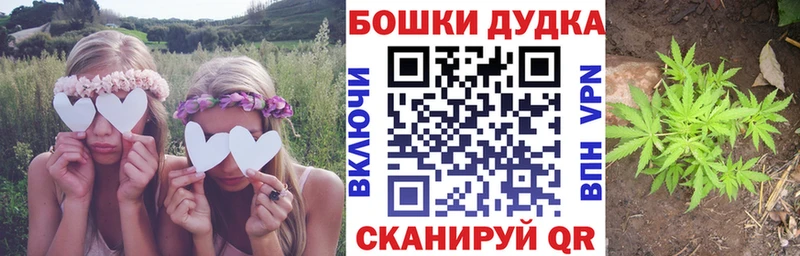 Канабис тримм гидра зеркало Злынка